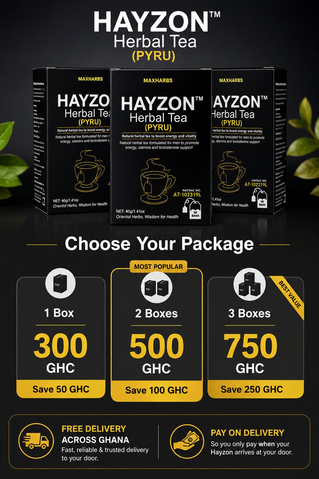 Hayzon herbal tea three box bundle
